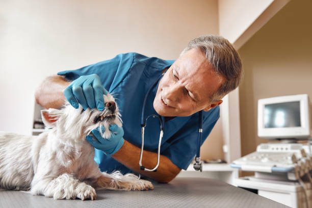 Best Emergency Dental Extractions in West Union, OH